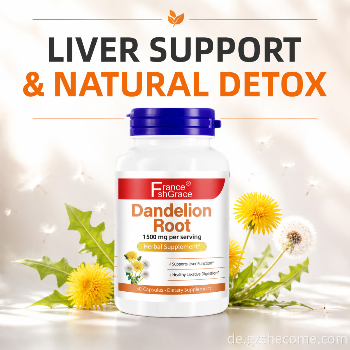 Dandelion Extract Capsules6